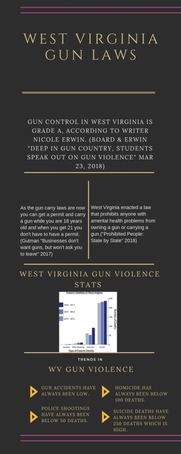 West Virginia Gun Laws