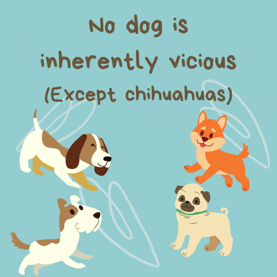 No Dog is Inherently Vicious (except Chihuahuas) (just kidding) Infographic 