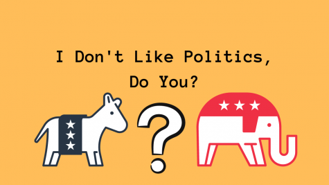 I Dont Like Politics, Do You?