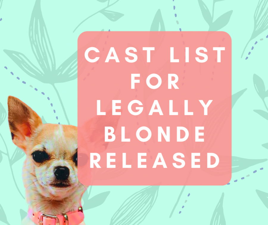 Legally Blonde Cast List Released
