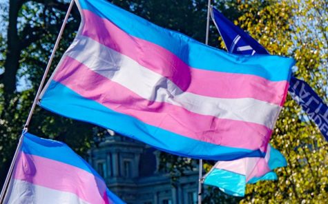 Wv State Lawmakers Pass Anti-Transgender Bill In House