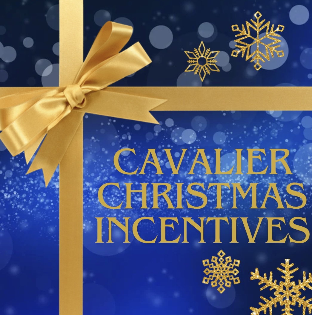 Cavalier+Christmas