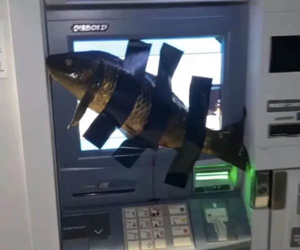 Picture taken from https://www.abc4.com/news/local-news/teen-facing-charges-for-allegedly-taping-fish-to-atms-in-provo/